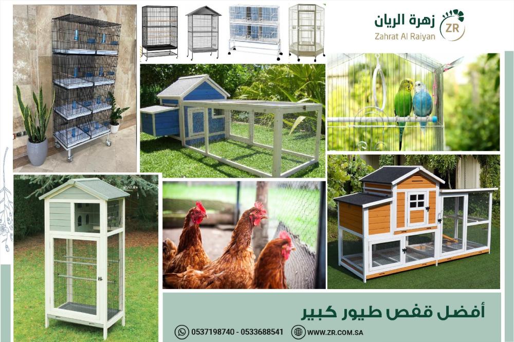 أفضل الأقفاص الكبيرة للدجاج والأرانب والطيور من زهرة الريان