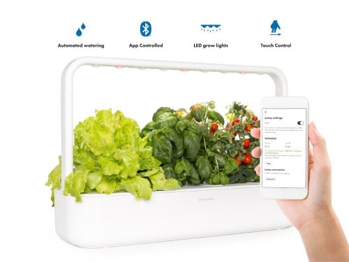 CLICK AND GROW Grill And Garden