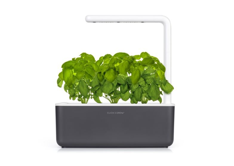 Mini Tomato Plant Pods  Click & Grow – Click & Grow Canada
