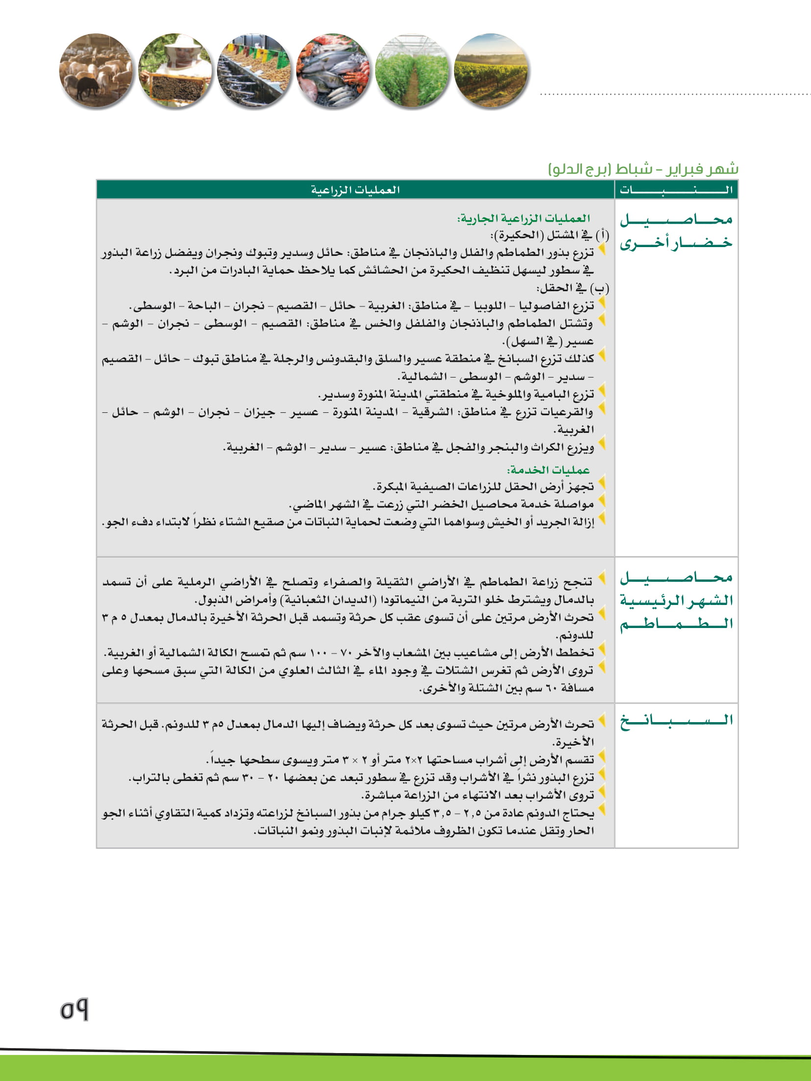 جدول الزراعة السعودي تقويم الزراعة السعودي Seeds3