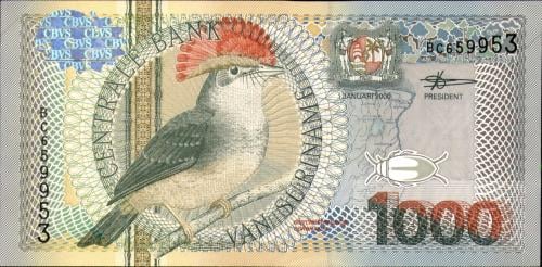 1000 جولدن سورينام لعام 2000 م والحالة شبه أنسر (AU)