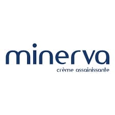 مينرفا - Minerva