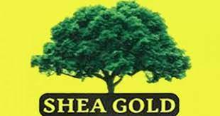 شيا جولد - Shea Gold