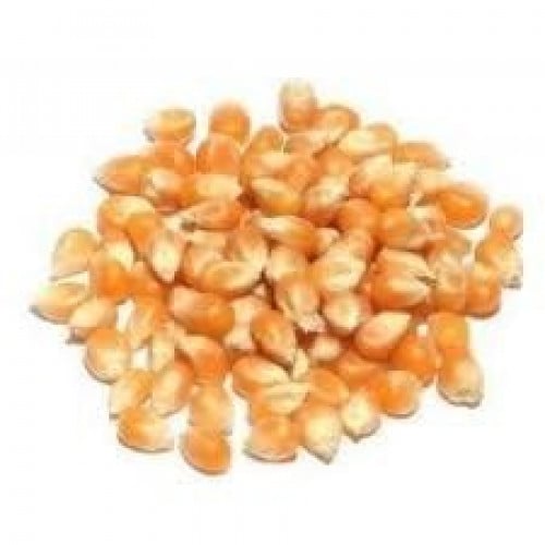 فشار الكيلو