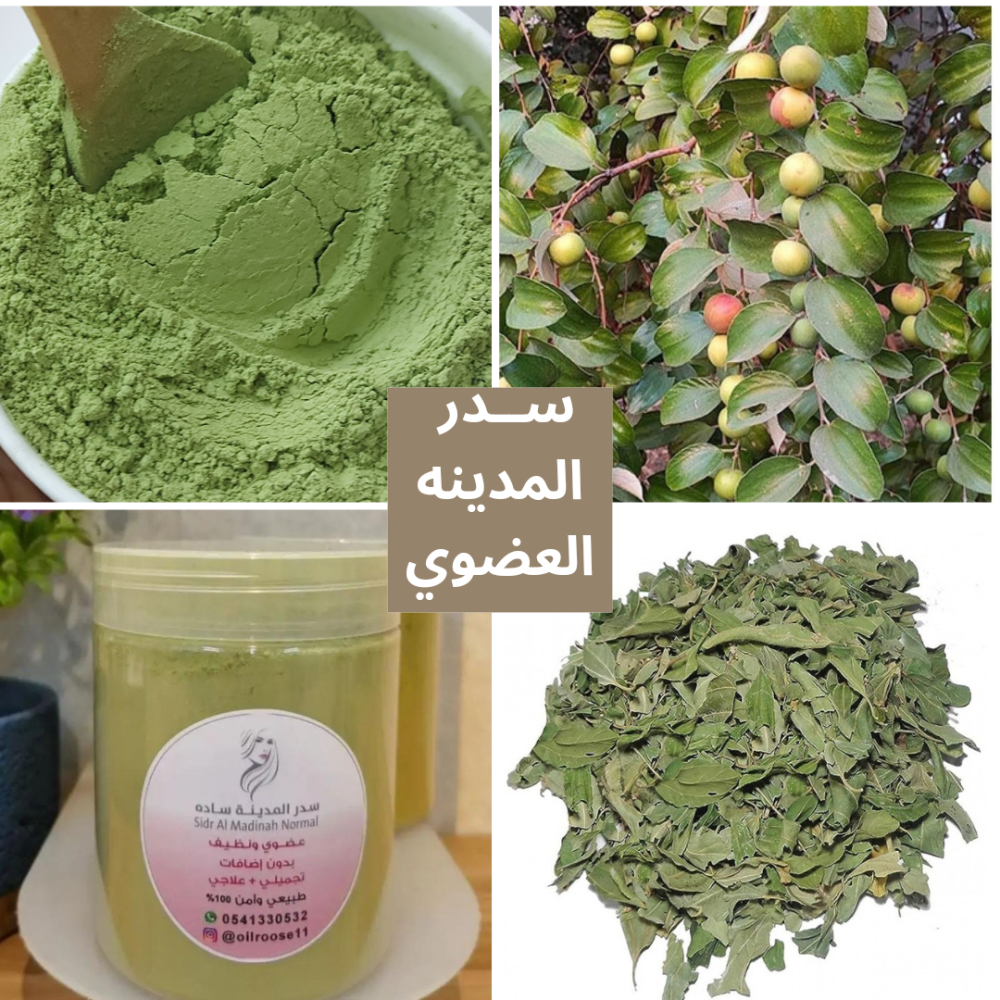 عجائب السدر العلاجي والتجميلي