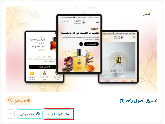 إدارة الثيمات وتخصيصها وحماية محتوى المتجر