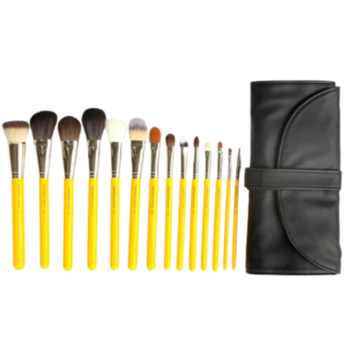 بدليوم -  تولز طقم فرش احترافيّة ستوديو 14 فرشاة