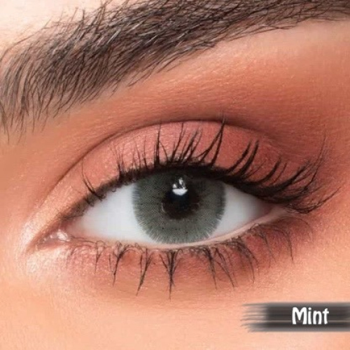 عدسات نيو لنس - MINT