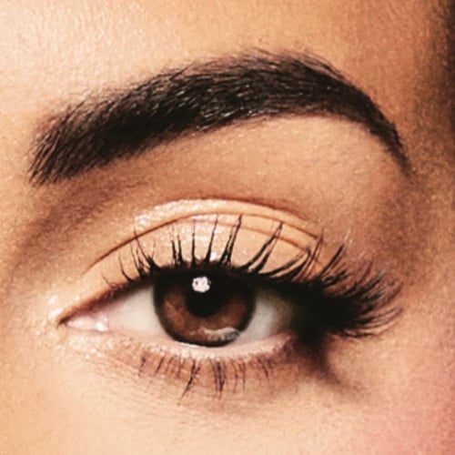 عدسات امارا - عدسات جورجينا -والنت Walnut