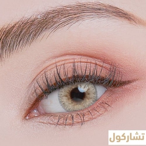 امالون - عدسات يومية 5 أزواج درجة تشاركول