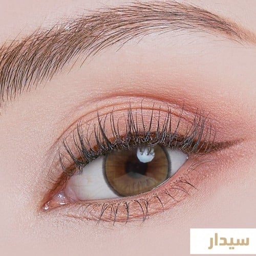 امالون - عدسات يومية 5 أزواج درجة سيدار