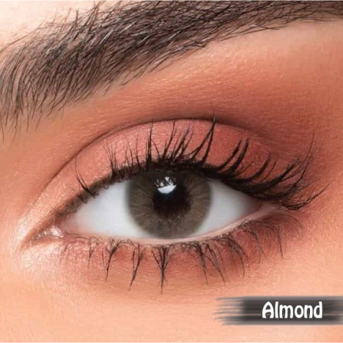 عدسات نيو لنس - ALMOND