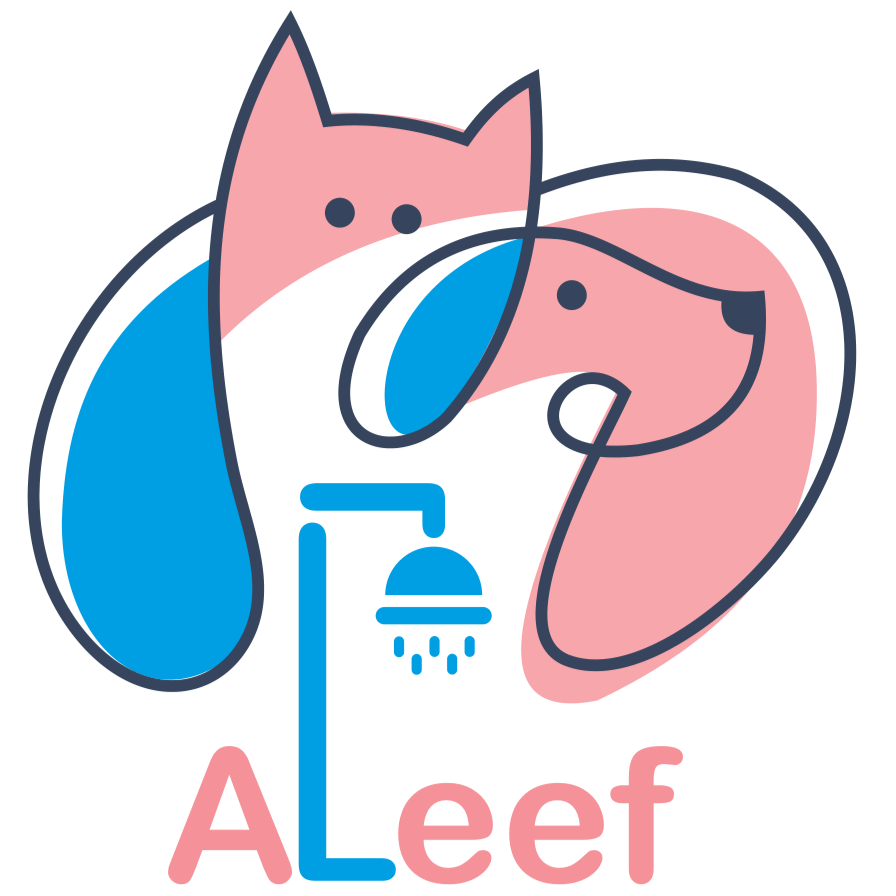 aleef3.com
