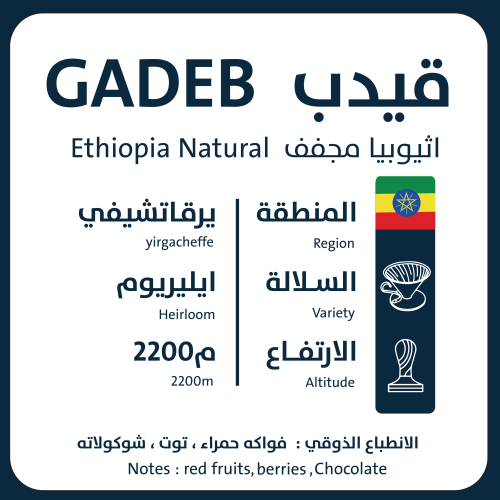 قيدب اثيوبيا 250ج / محمصة اورو