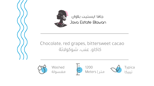 جافا ايستيت 907g / محمصة بيت التحميص