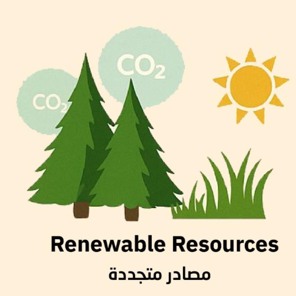 Taolefah Teabag: Where Premium Tea Meets Sustainability