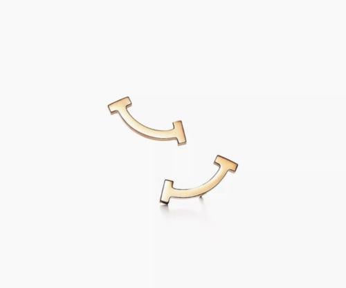 Tiffany and co earring