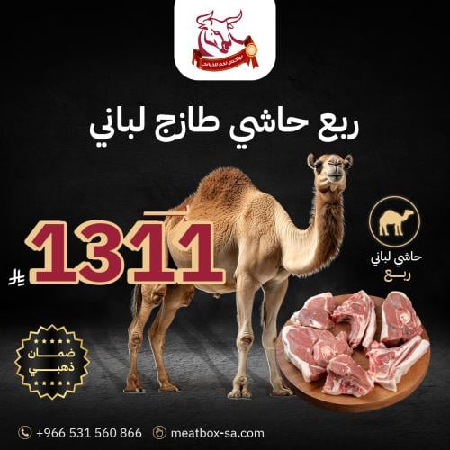ربع حاشي طازج لباني