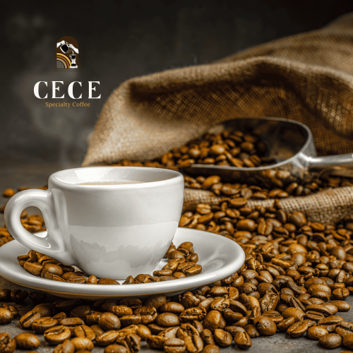 ☕ رحلة حبة القهوة من المزرعة إلى كوبك