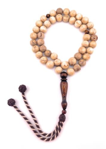 سبحة المرجان الأبيض أو (اليسر) ‏White Coral