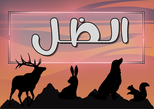 الظل