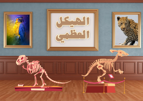 الهيكل العظمي