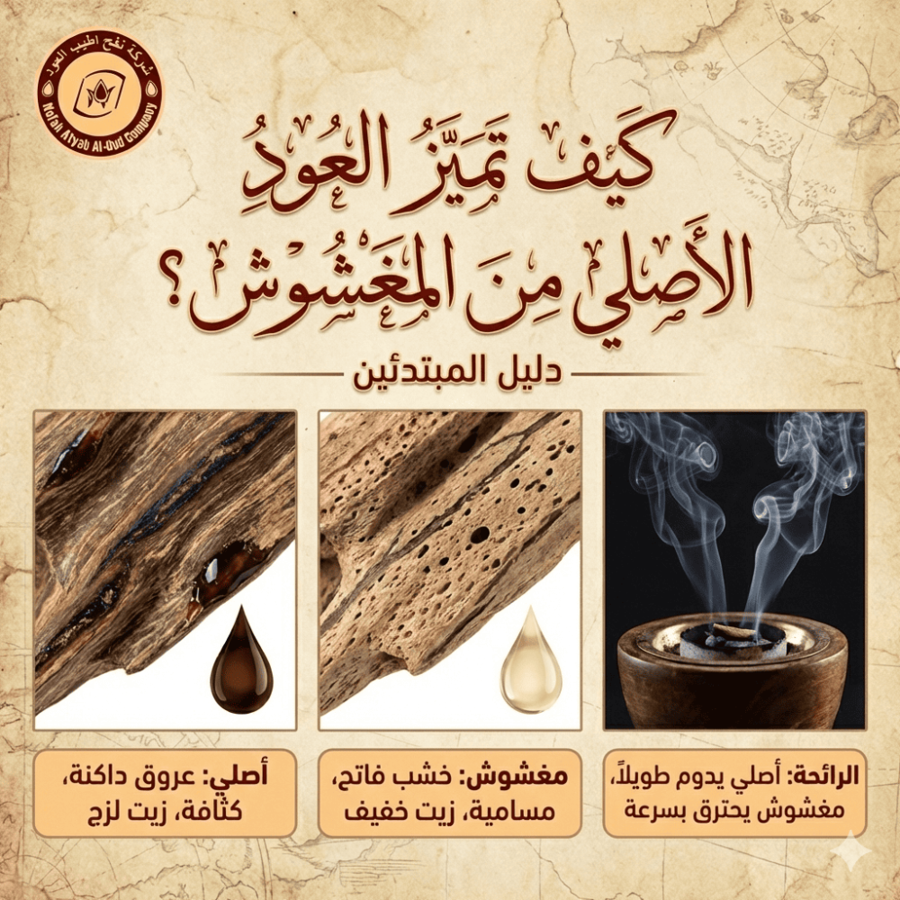 العود الاصلي