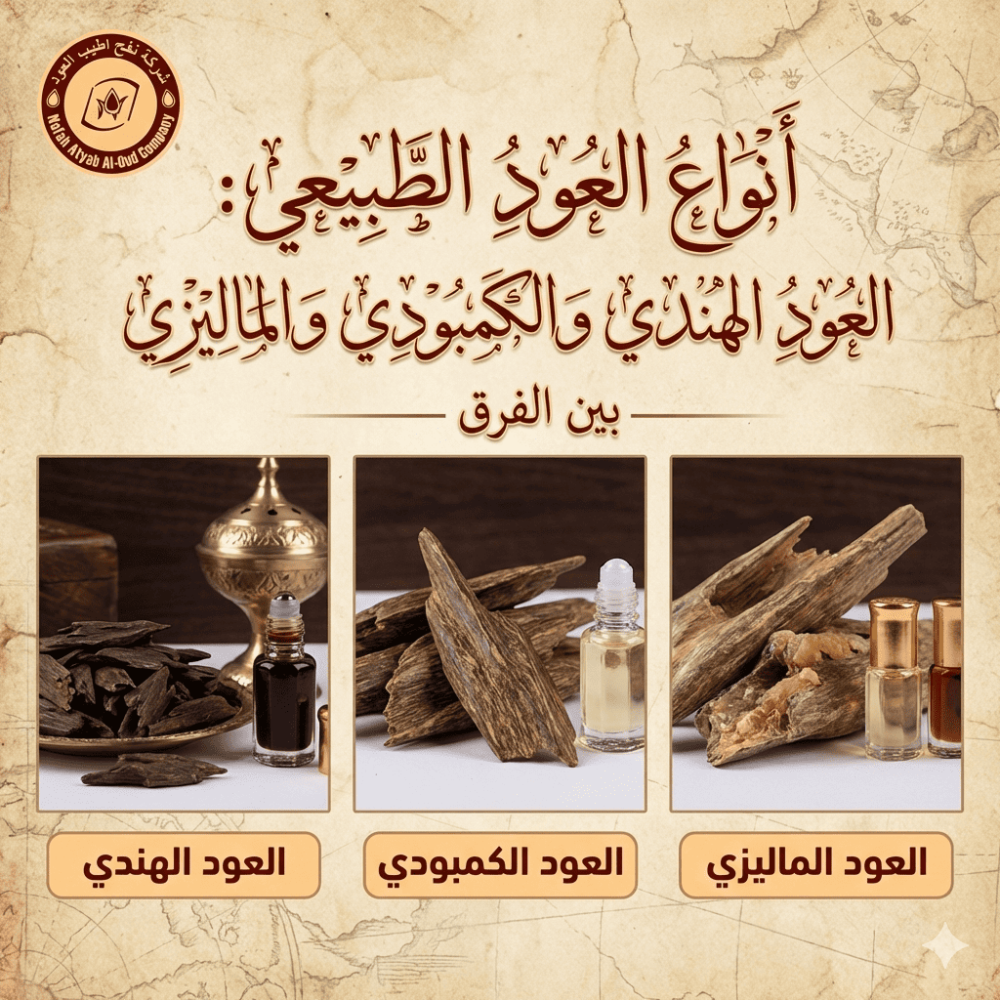 أنواع العود