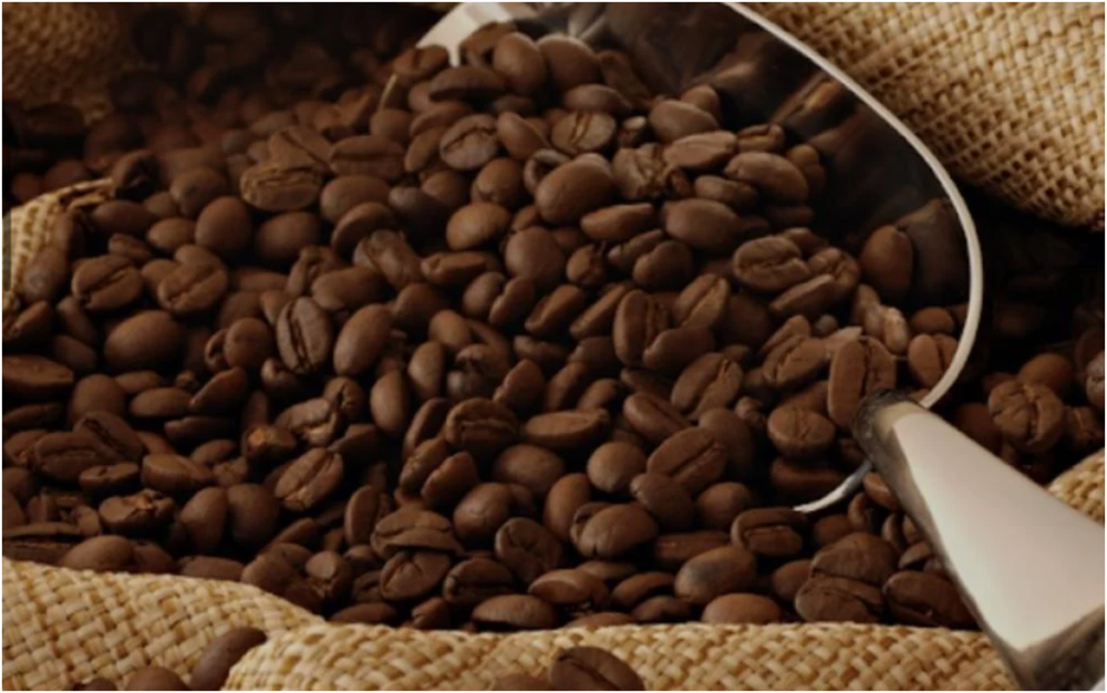 المكسرات: كنز غذائي من متجر مكسرات لب