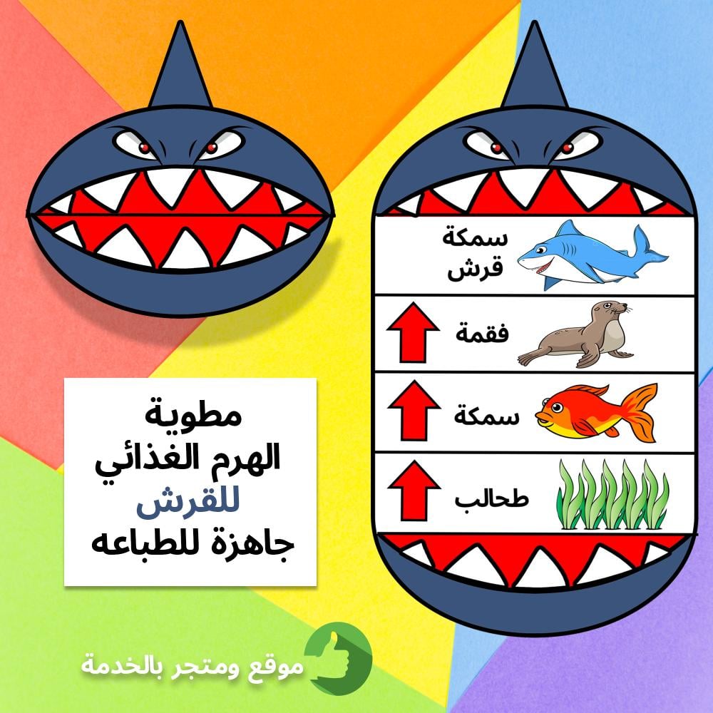 مطوية الهرم الغذائي للقرش