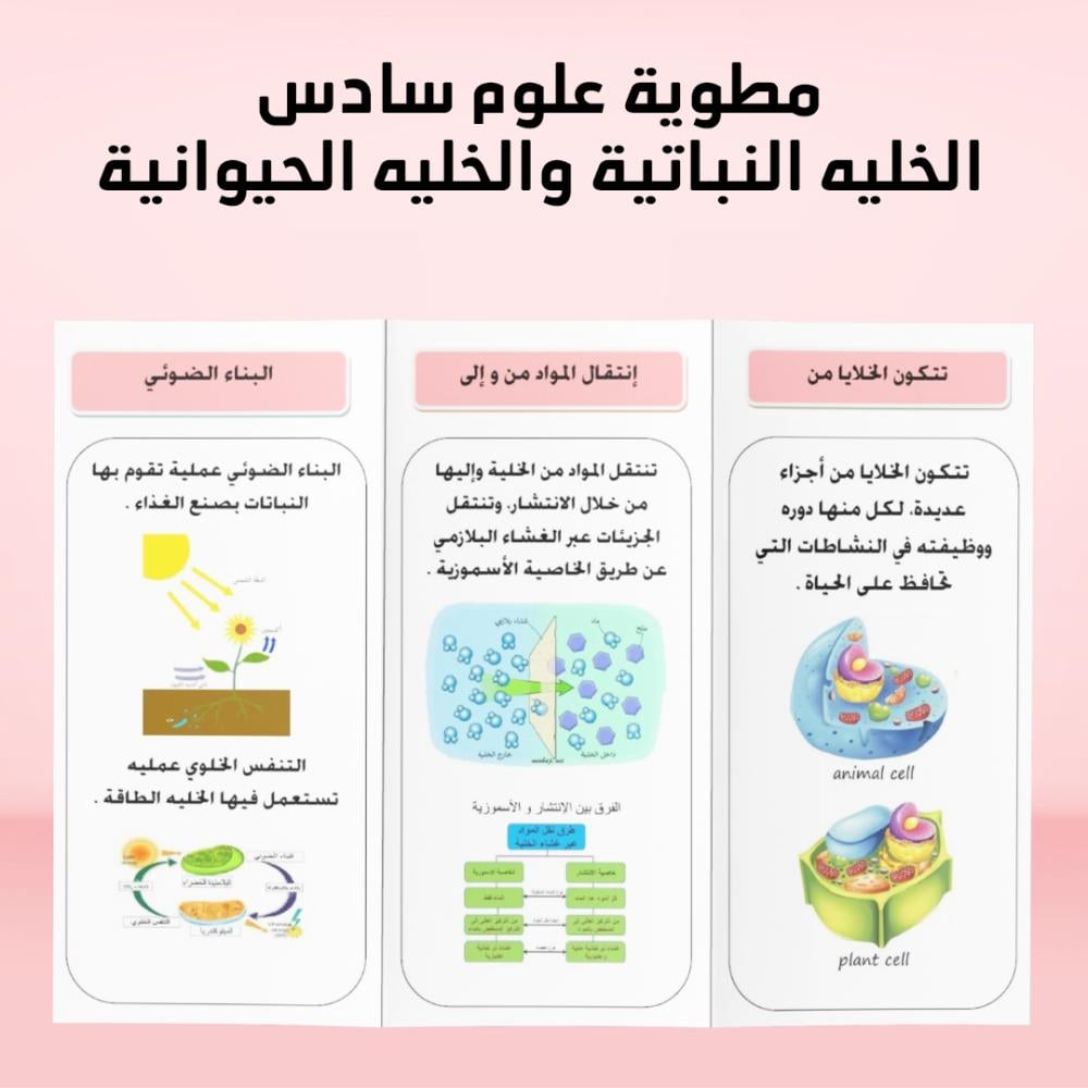 مطوية علوم سادس الفصل الدراسي الاول الخليه النباتيه والخليه الحيوانيه