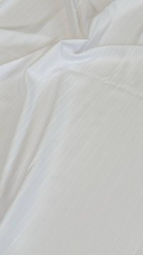 مغيضة S54