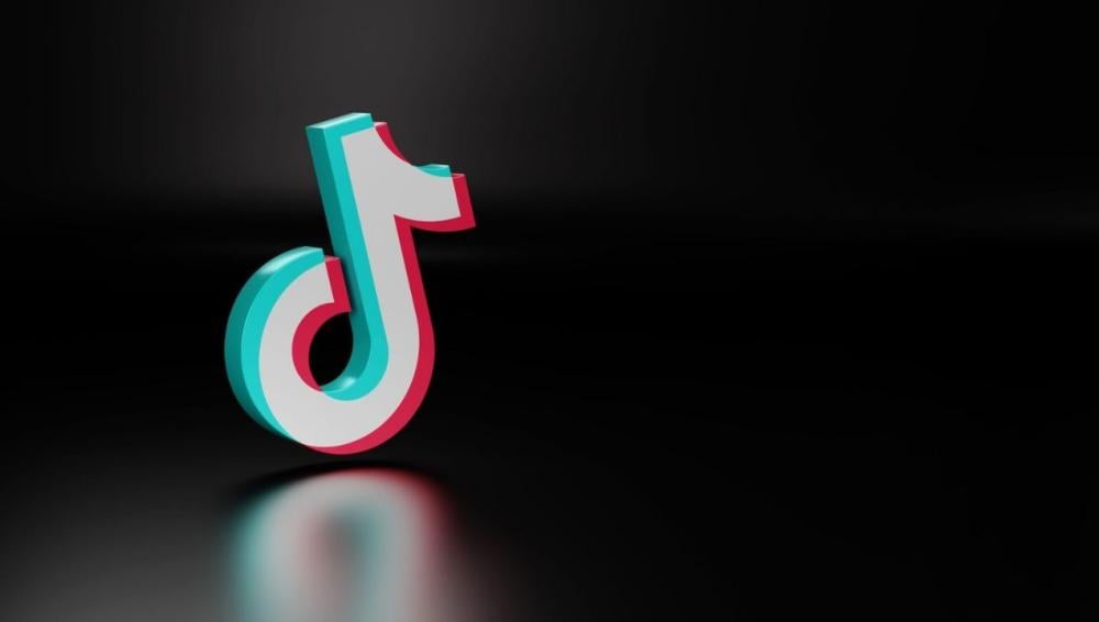 الاسد في التيك توك