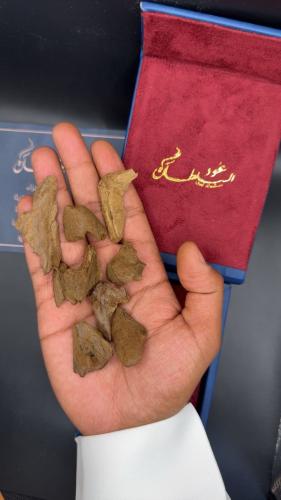 مروكي سبيشل رويال ( تولة )
