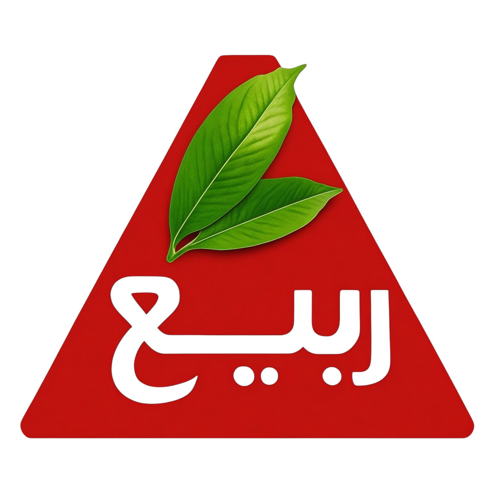 ربيع