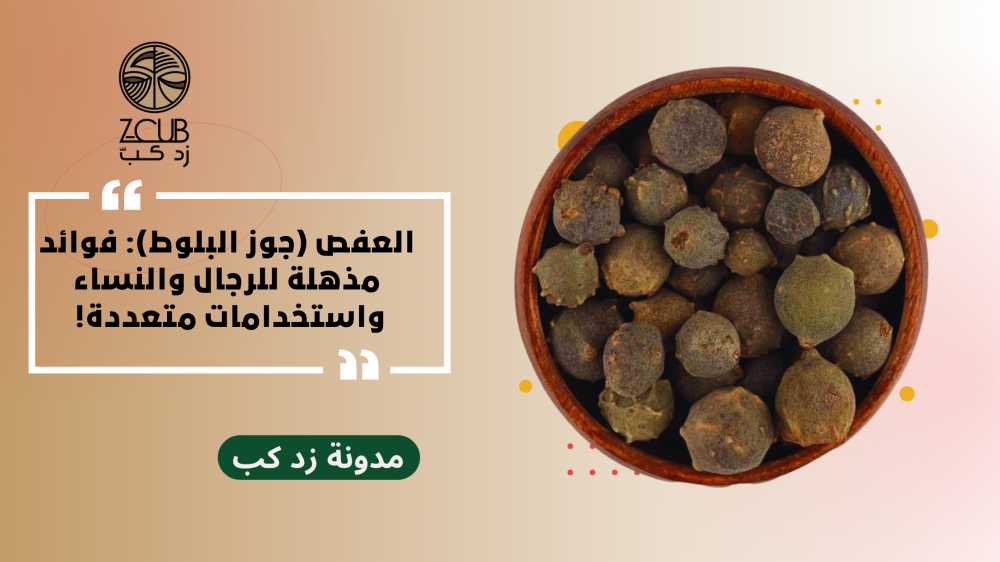 فوائد واستخدامات بذور العفص للرجال والنساء