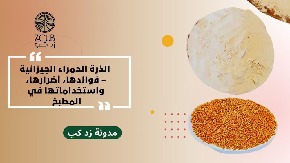 الذرة الحمراء الجيزانية – فوائدها، أضرارها، واستخداماتها في المطبخ