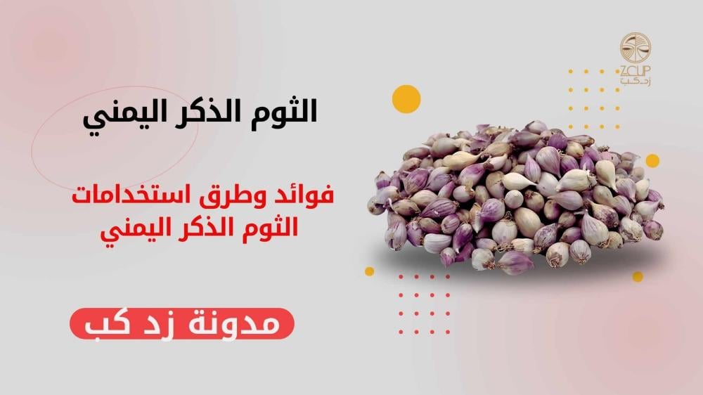 فوائد وطرق تحضير واستخدامات الثوم الذكر العلاجية والصحية