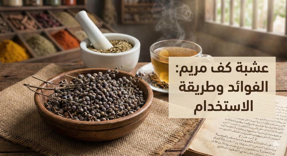 صورة غلاف مقال عشبة كف مريم في مدونة متجر زد كب، تظهر كوب شاي عشبي وبذ
