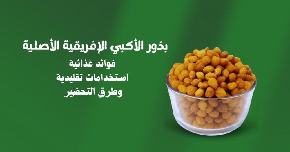 صورة بذور الأكبي الإفريقية الأصلية مع عرض فوائدها واستخداماتها