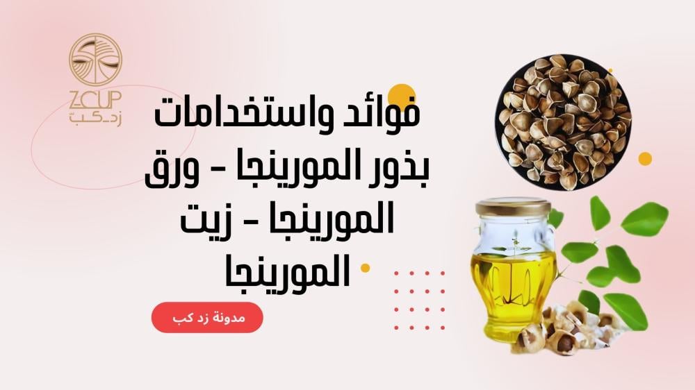 فوائد واستخدامات بذور المورينجا وزيت المورينجا وورق المورينجا