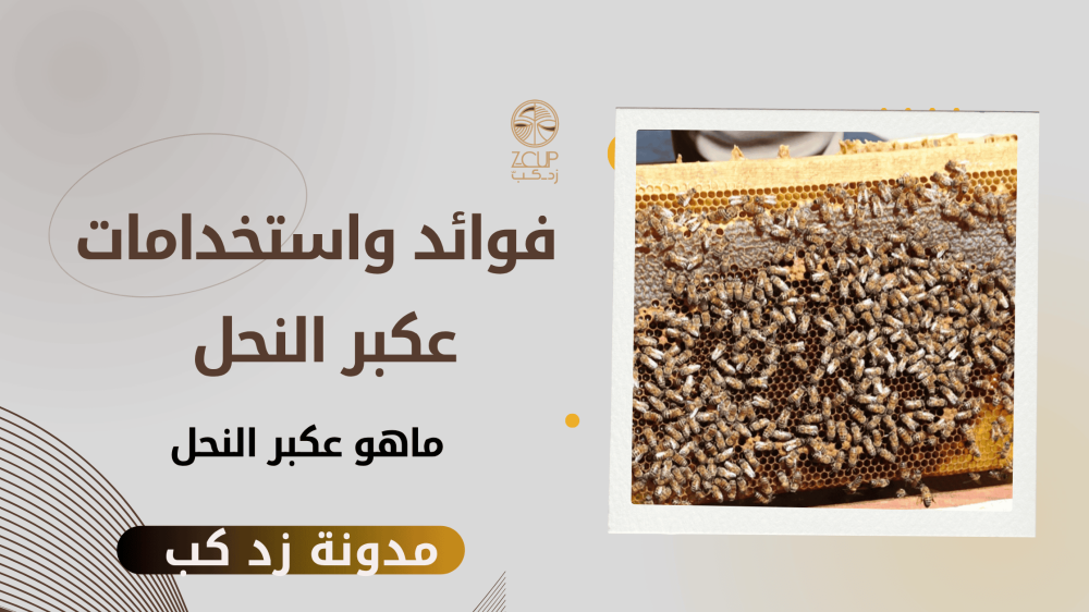 فوائد واستخدامات عكبر النحل