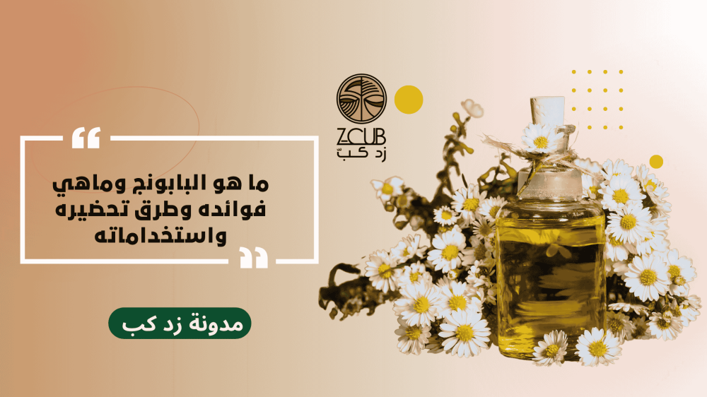 ما هو البابونج وماهي فوائده وطرق تحضيره واستخداماته