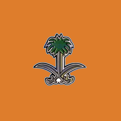 ستيكرز سيفين و نخلة