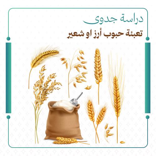 دراسة جدوى حبوب وشعير