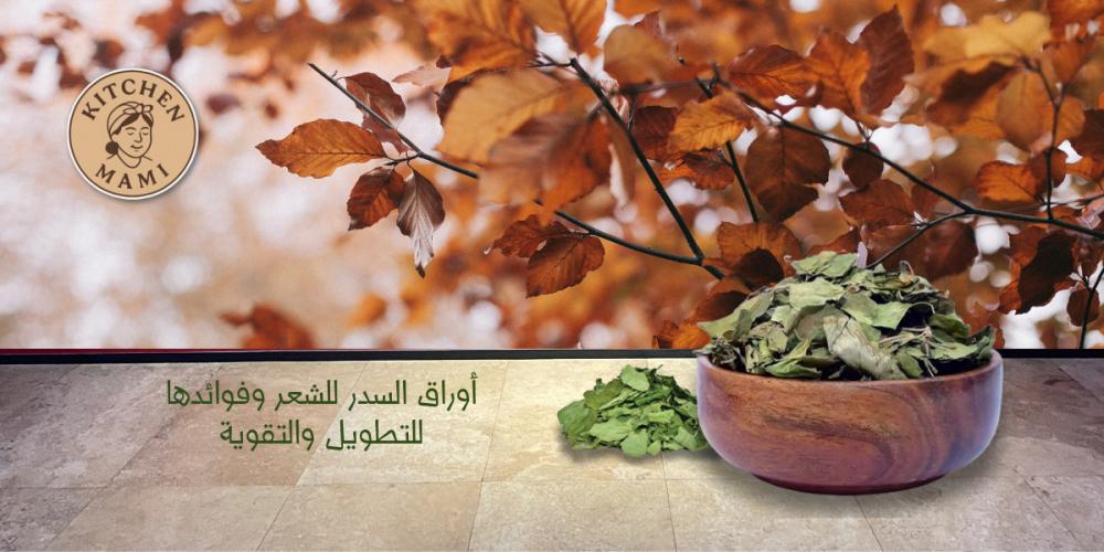 اوراق السدر