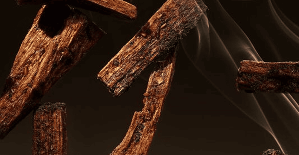 The difference between natural and synthetic oud