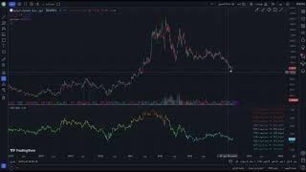 مؤشر السعر العادل سنة