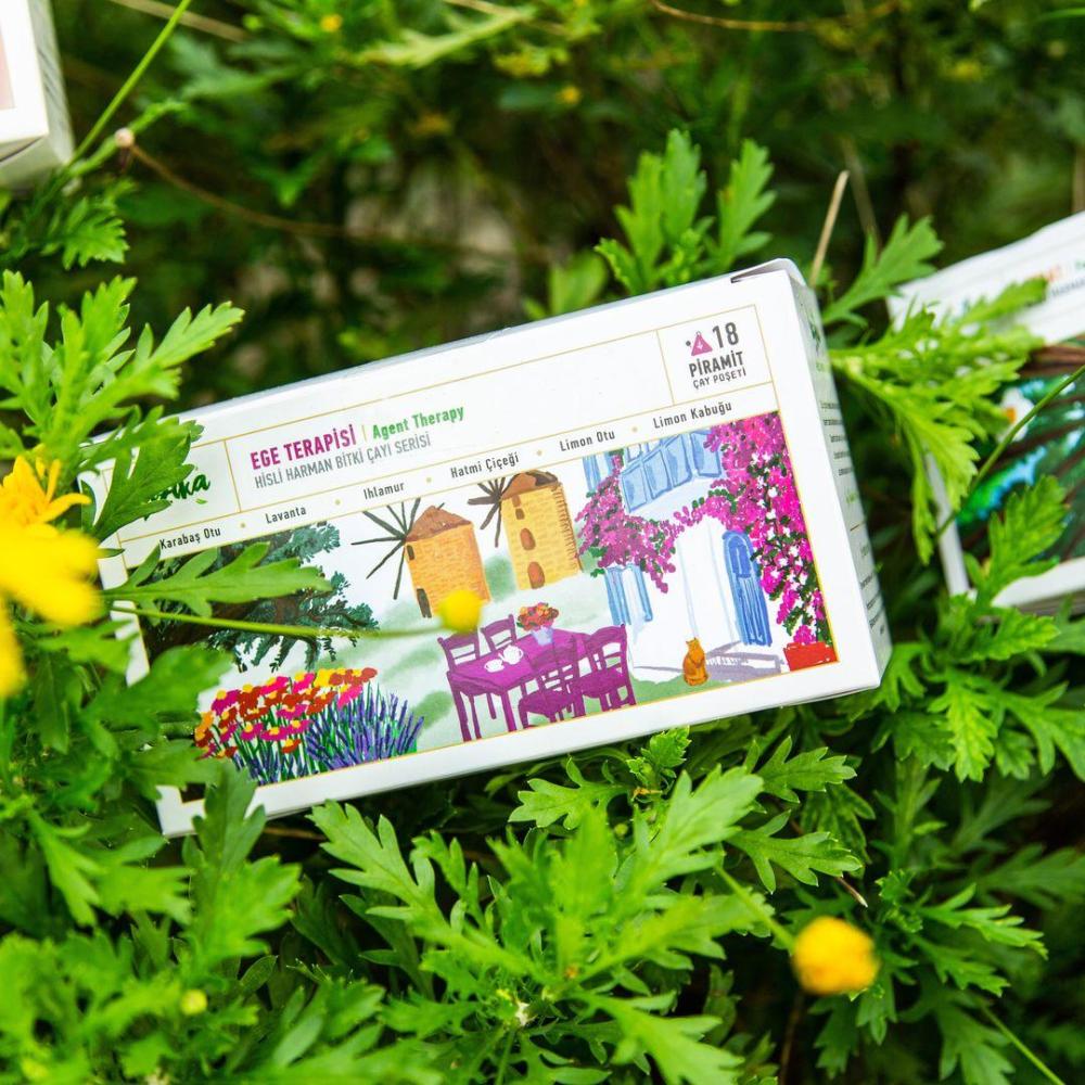 اعشاب مقاومه الشيخوخه