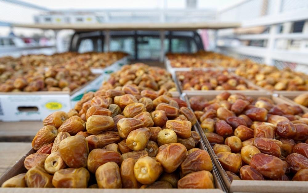 شراء التمر بالجملة في السعودية